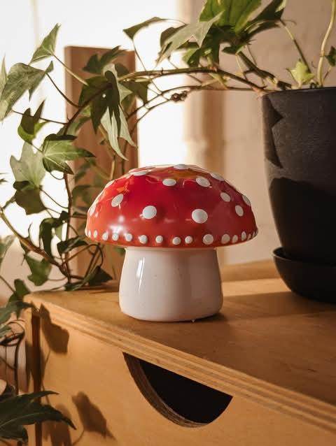 Mushroom Photo HolderFramesBoho Photo