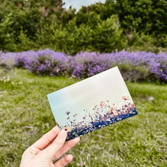 Photo Printing - Same Day - Boho Photo