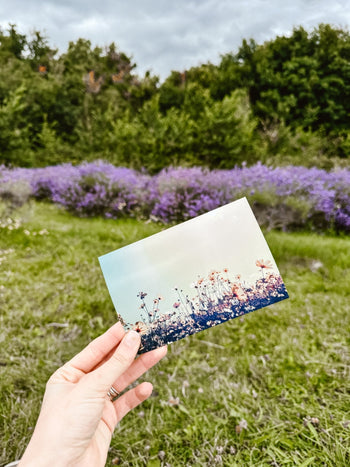 Photo Printing - Same Day - Boho Photo