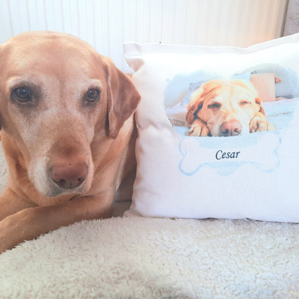 Personalised Photo Cushion - Dog & Bone Design