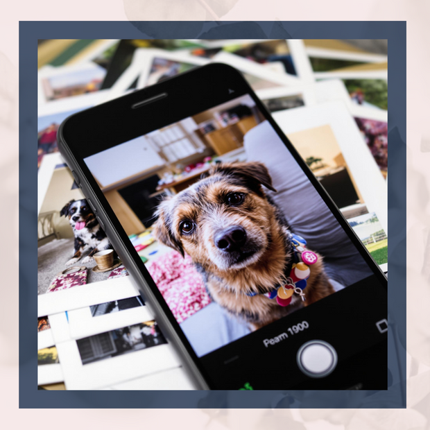 <h2>Photo Printing & Canvases</h2>