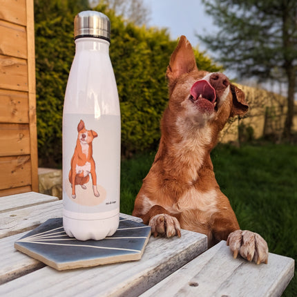 Photo Water Bottle - Optional Text