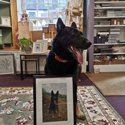 Everest Black - Plain Black Photo Frame - Various SizesFramesBoho Photo