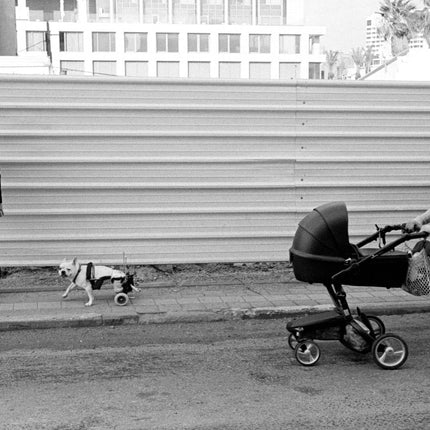 ILFORD B&W XP2 Super 35mm Film - 24exp