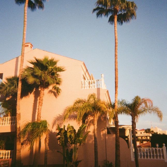 Kodak Color Plus 35mm FilmCameras, Films & ProcessingBoho Photo