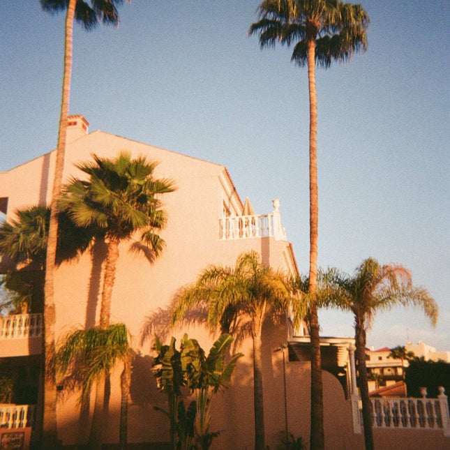 Kodak Color Plus 35mm FilmCameras, Films & ProcessingBoho Photo