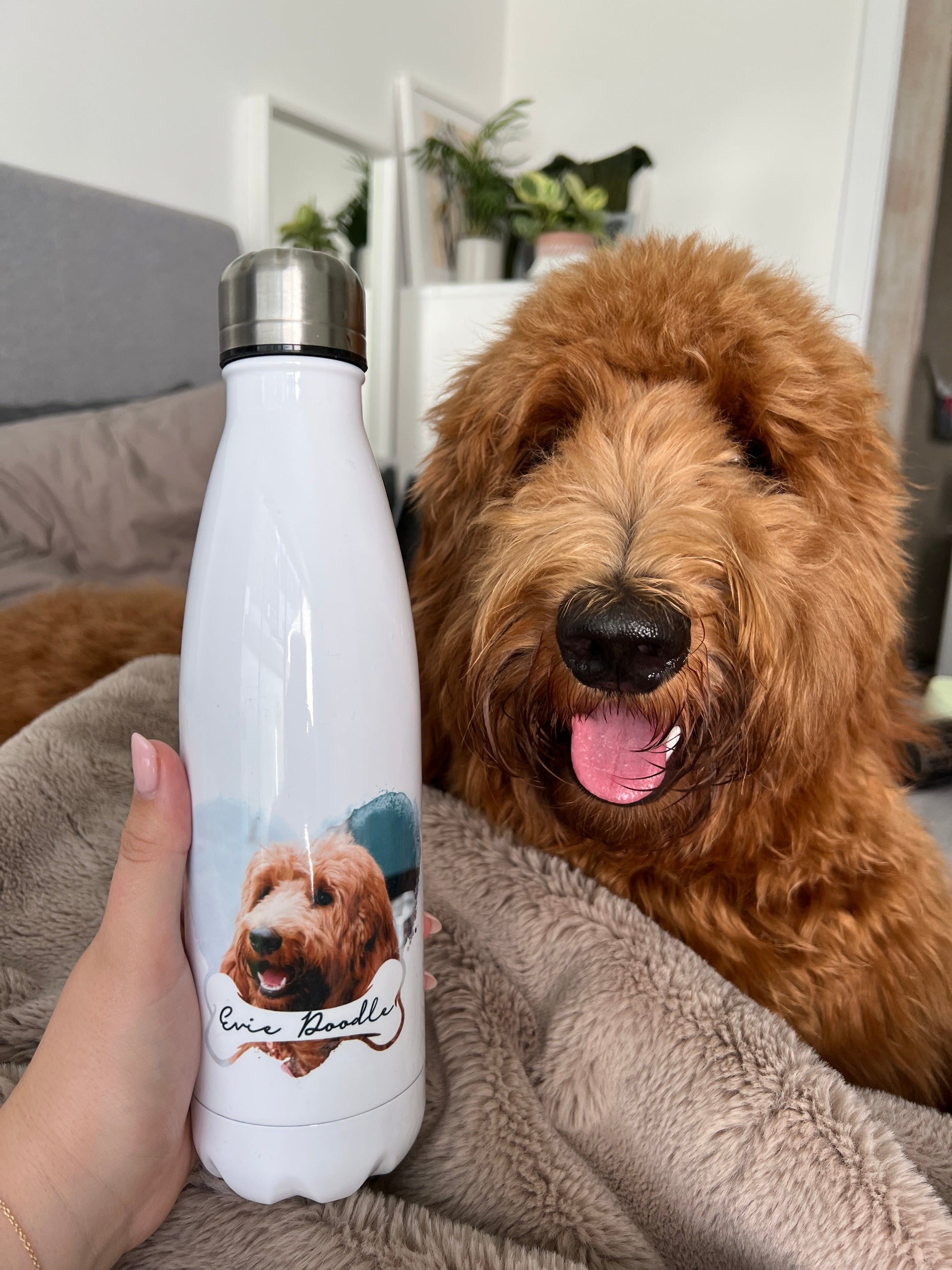 Dog & Bone Personalised Photo Gift - Water BottleBoho Photo