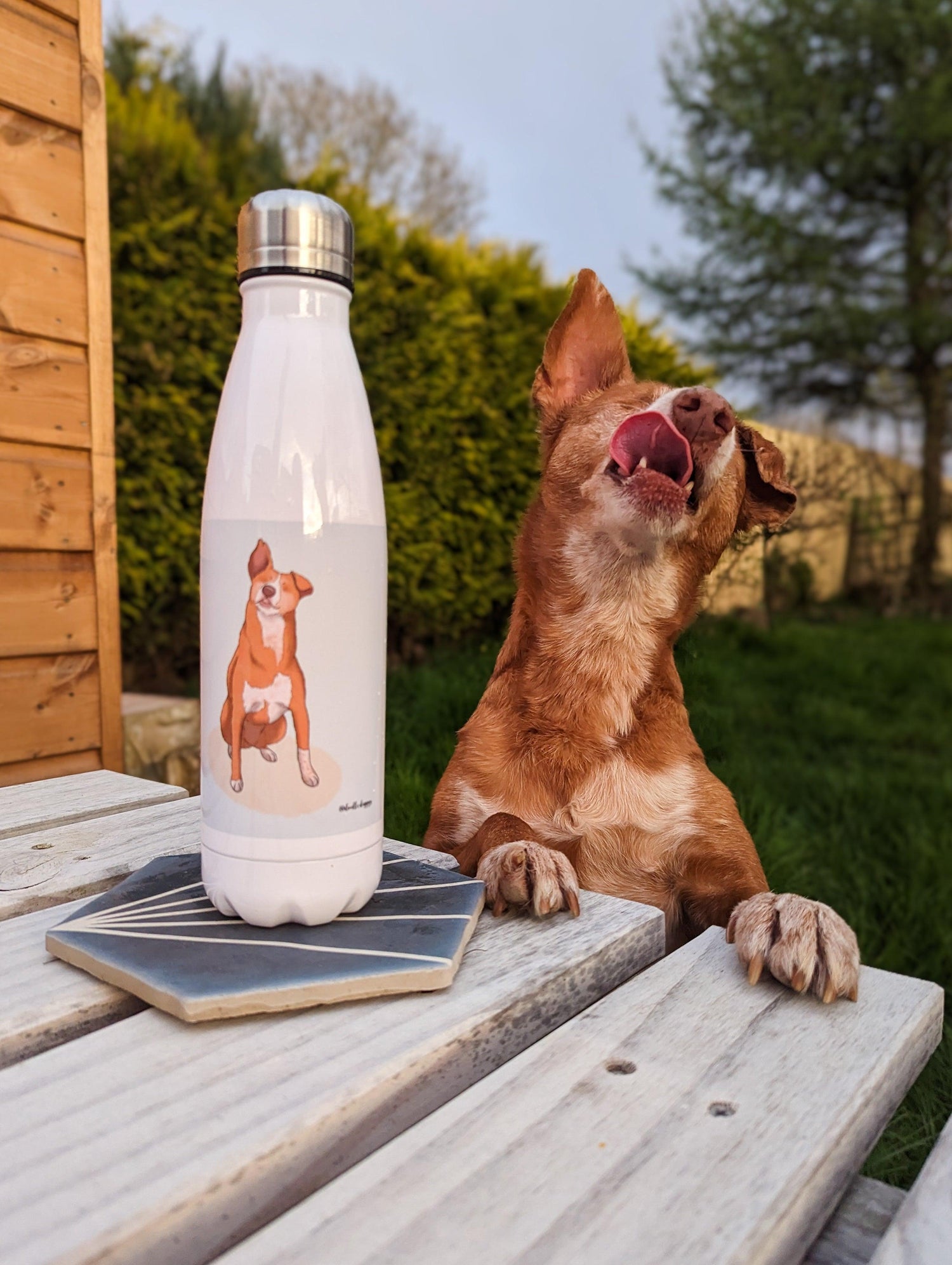 Personalised Water Bottle - Optional Text - Boho Photo